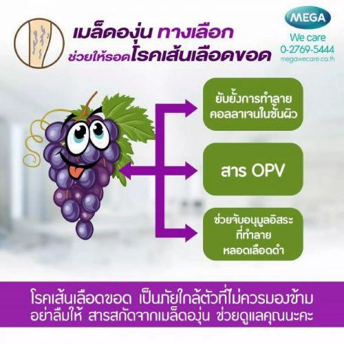 MEGA We care เมก้าวีแคร์ GRAPE SEED EXTRACT HS (30 's ) สารสกัดจากเมล็ดองุ่น เอชเอส ผลิตภัณฑ์เสริมอาหาร 30 เม็ด