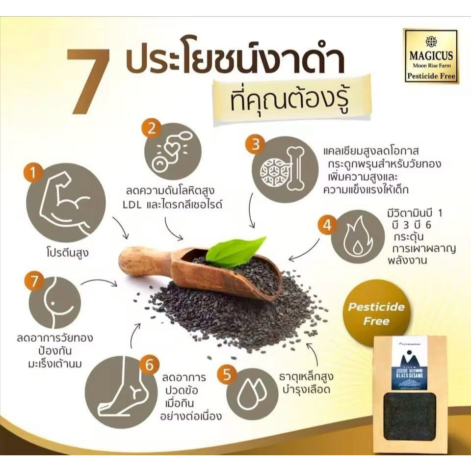 Magicus Sesamina Col 500mg (Cold Press Sesame Oil) มาจิคัส เซซามินา โคล น้ำมันงาดำสกัดเย็นบริสุทธิ์ ออร์แกนิค 60 Cap