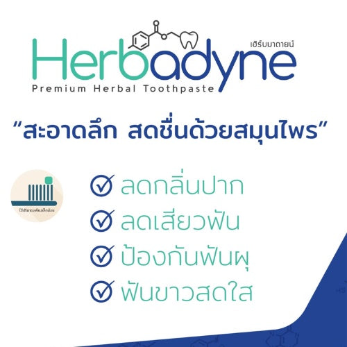 Herbadyne Herbal Toothpaste ยาสีฟันสมุนไพรเฮิร์บบาดายน์ ขนาด 100 กรัม 1 หลอด