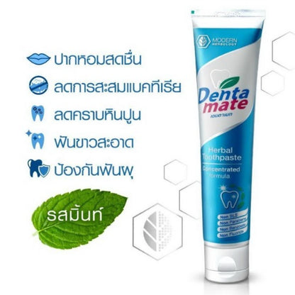 Dentamate Fresh Mint/Originalยาสีฟัน สมุนไพร เดนตาเมท สูตรเข้มข้น / ดั้งเดิม 18/40/60/120g ลดเหงือกอักเสบ ลมหายใจสดชื่น