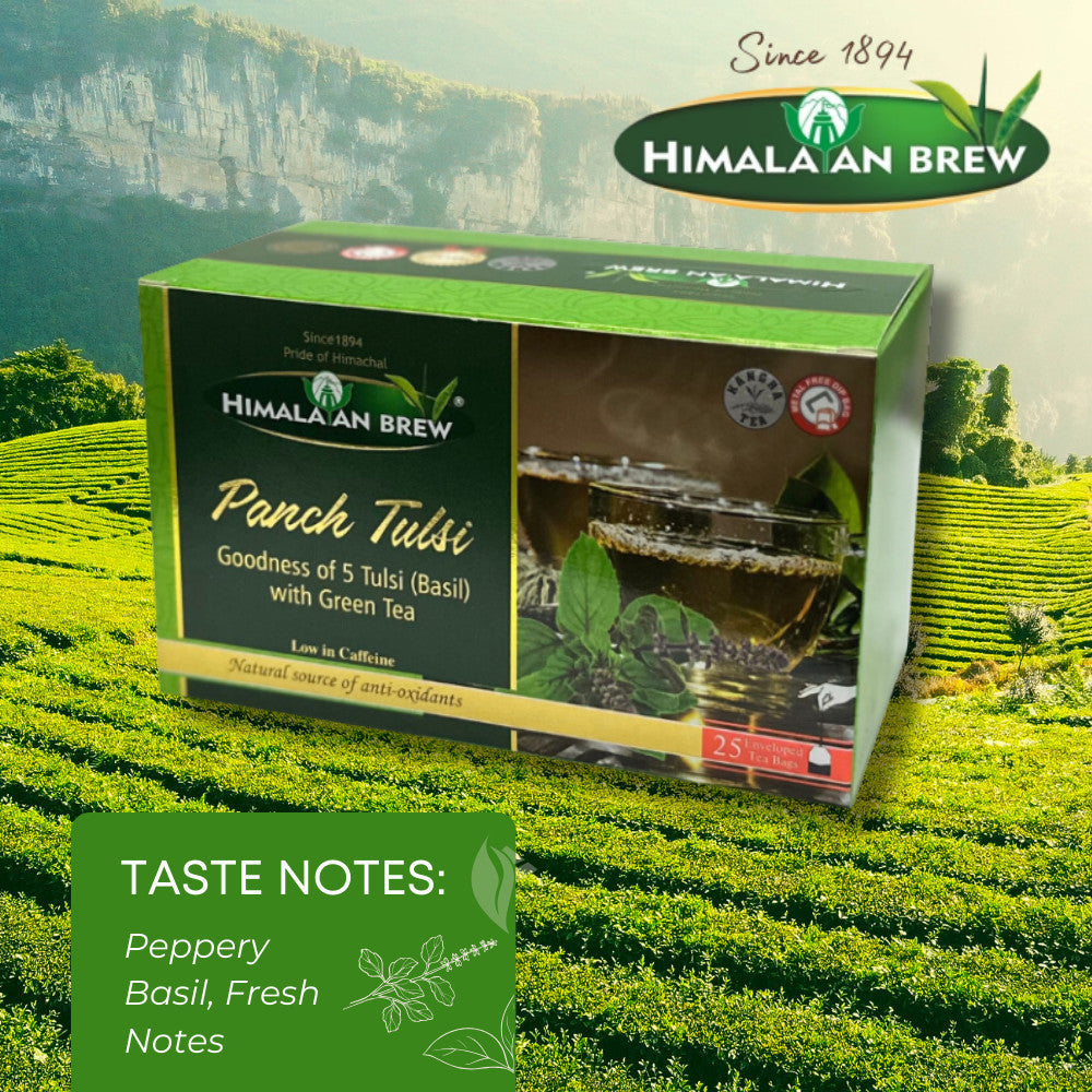 Himalayan Brew Panch Tulsi (Basil) Green Tea (25 tea bags) ชาเขียวใบโหระพา ชนิดซอง แพ็ค 25 ซอง (low caffeine) Kangra Tea