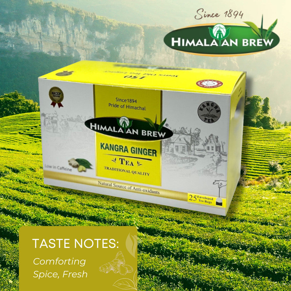 Himalayan Brew Kangra Ginger Green Tea (25 tea bags) ชาเขียวขิง ชนิดซอง แพ็ค 25 ซอง (low caffeine) Kangra Tea
