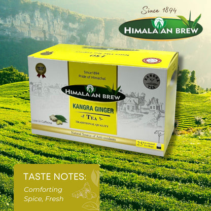 Himalayan Brew Kangra Ginger Green Tea (25 tea bags) ชาเขียวขิง ชนิดซอง แพ็ค 25 ซอง (low caffeine) Kangra Tea