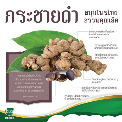 Khaolaor ขาวละออ กระชายดำพลัสแอล-อาร์จินีน 60 แคปซูล/กล่อง