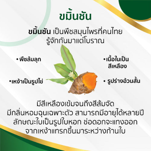 Khaolaor ขาวละออ CURMIN เคอร์มิน 500 ขมิ้นชัน 100 แคปซูล