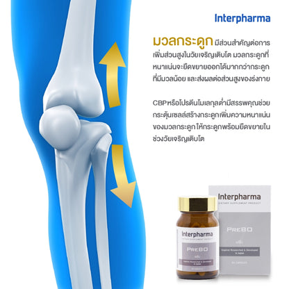 Interpharma PreBO บำรุงมวลกระดูก เพิ่มความสูง เสริมความจำโดย ป้องกันโรคกระดูกพรุน (60 capsules)