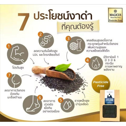 Magicus Sesamina Col 500mg (Cold Press Sesame Oil) มาจิคัส เซซามินา โคล น้ำมันงาดำสกัดเย็นบริสุทธิ์ ออร์แกนิค 60 Cap